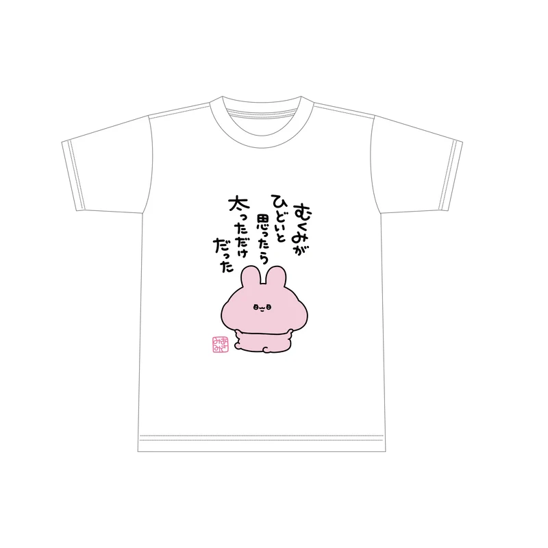 【あさみみちゃん】むくみがひどいと思ったら太ってただけかビッグシルエットTシャツ（再販）【10月下旬発送】