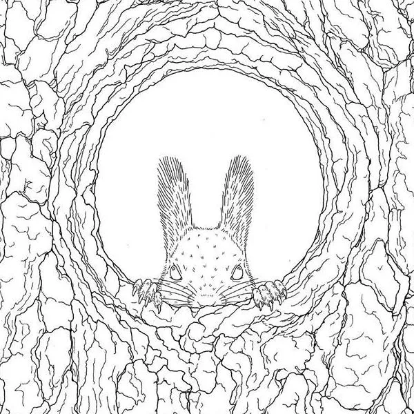 Coloriage Anti-Stress Animaux de la Foret
