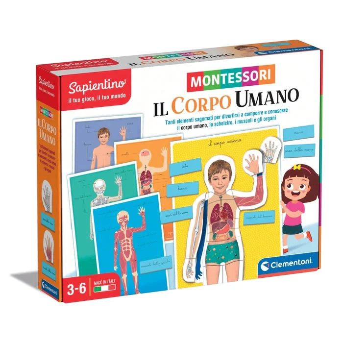 Sapientino Montessori - Il Corpo Umano