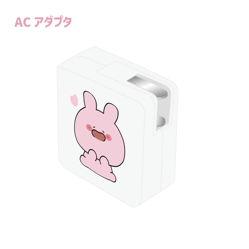 【あさみみちゃん】ACアダプタ（USB＋Type-C）（あさみみBASIC JULY）